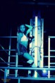 /album/oli-estrada/a536971-3561284246302-1130929727-n-jpg/